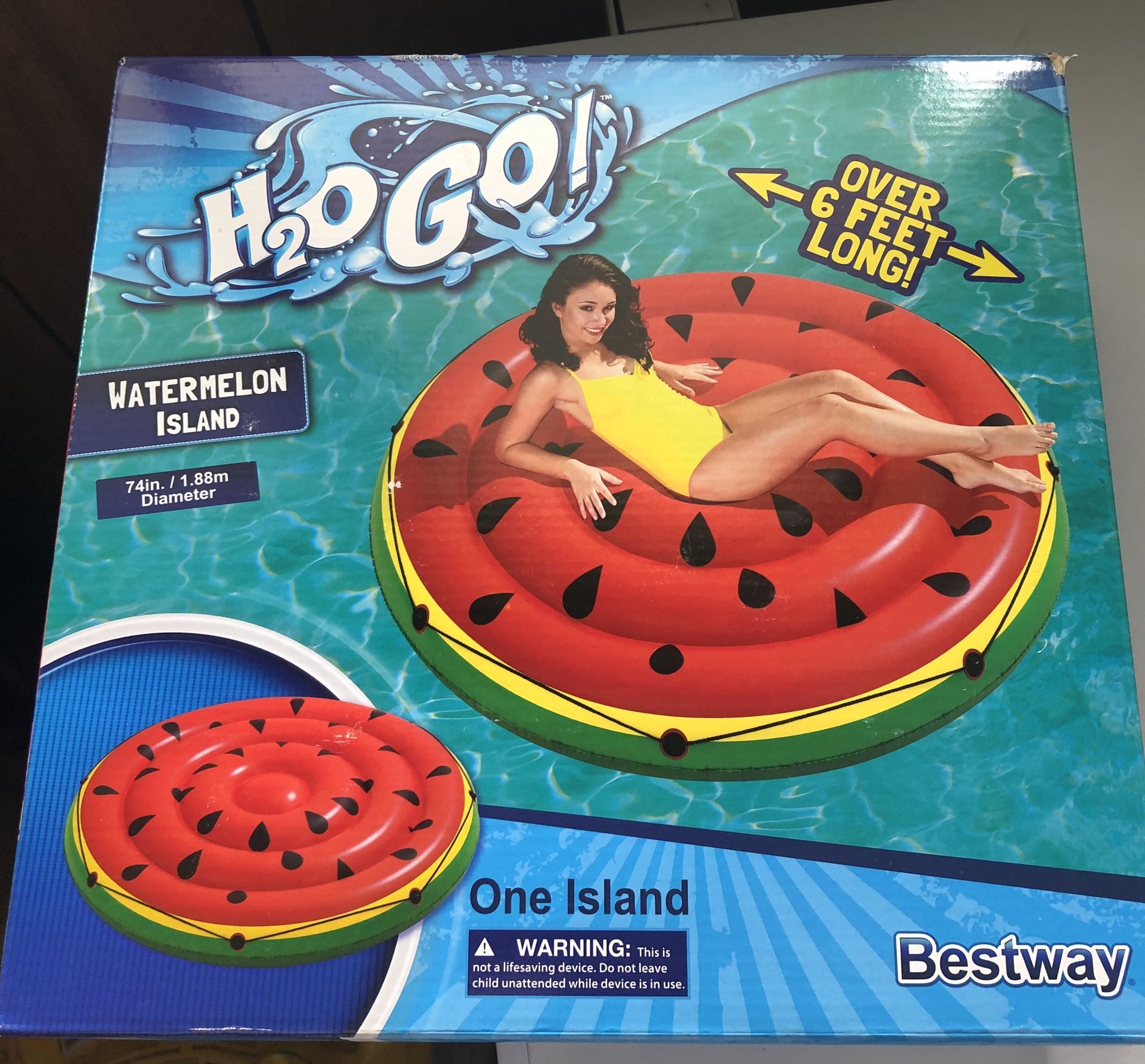 Pool Floats