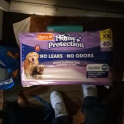 Hartz Doggy Pads