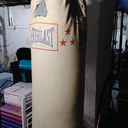 Good Punching Bag 