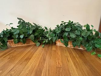 2WINLYN 14 inch artificial box wood plants, set of two. Beautiful condition.