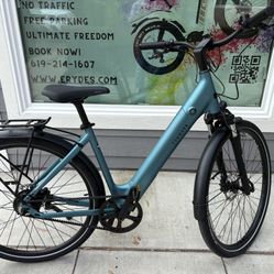 Tenways Electric Bike CGO 800s