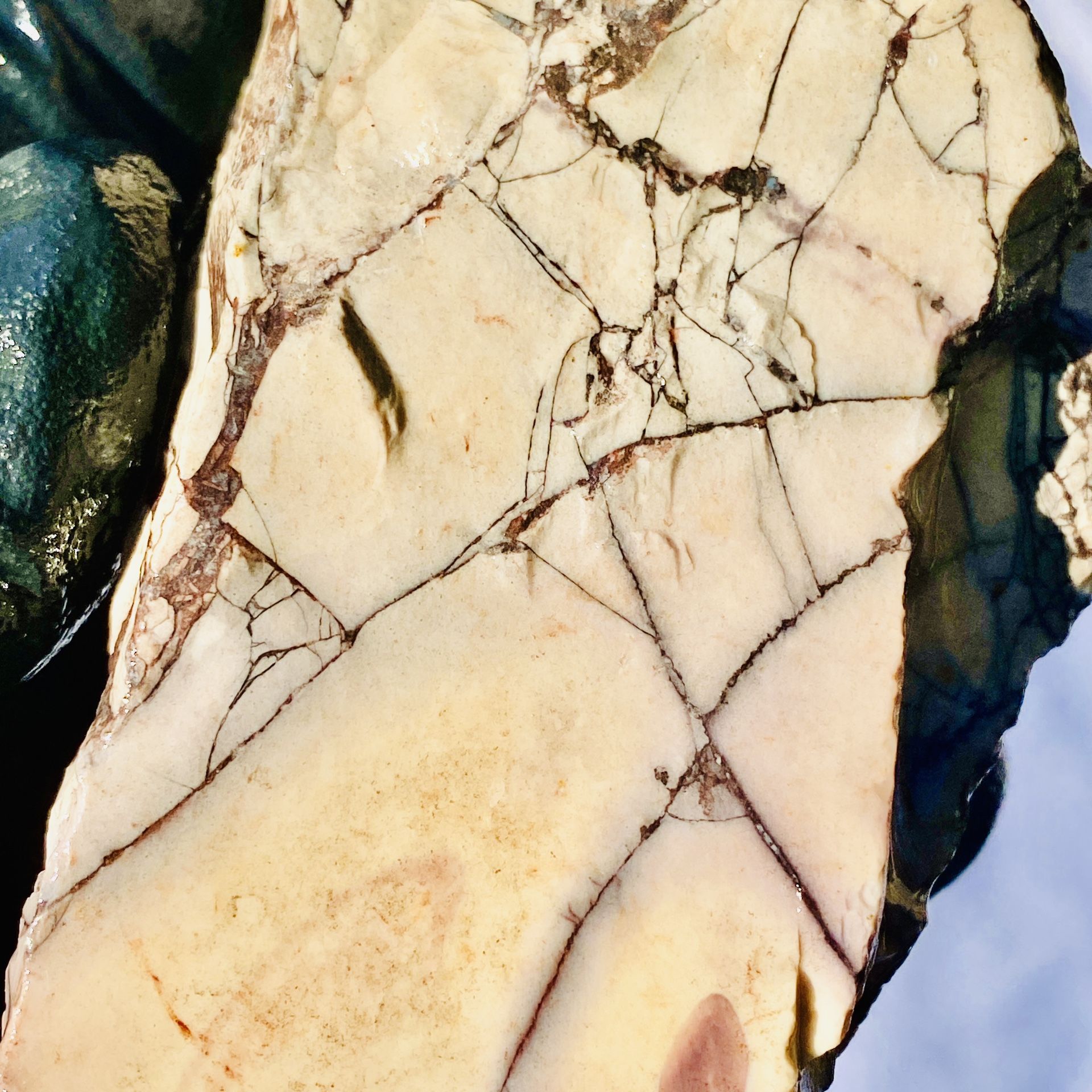 Exotica Sci Fi Porcelain Jasper from Mexico Scenic Pattern Raw Natural Rough
