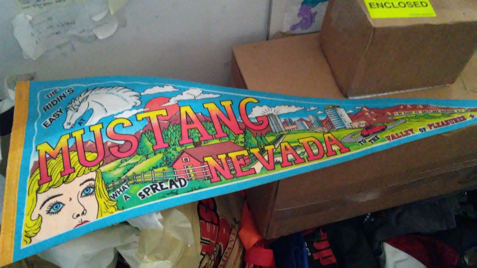 Mustang ranch pennant