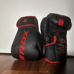 RDX Muay Thai/Boxing Gloves