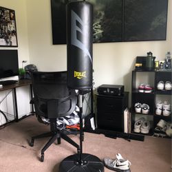 Everlast Reflex punching bag