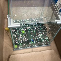 Topfin Aquarium