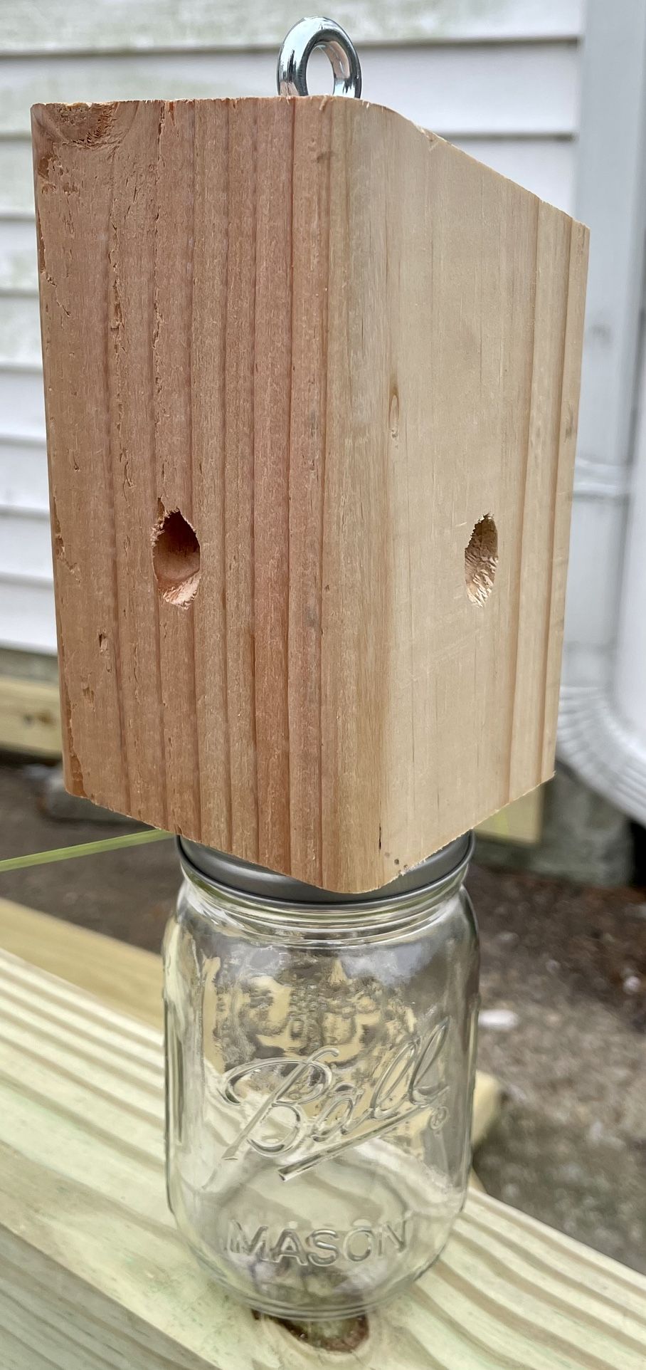 Carpenter Bee Trap Traps for Bugs Outdoor Garage Shed Deck