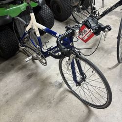 Quantum Roo Tequilo Bike 