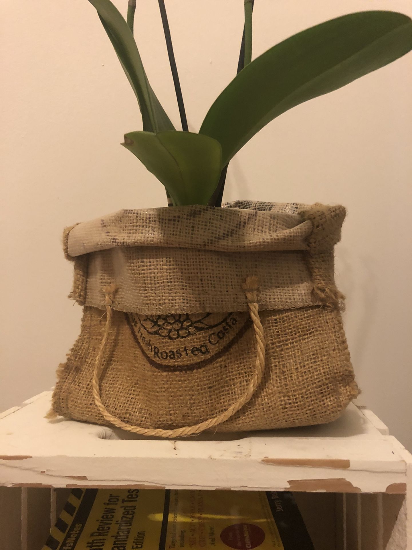 Rustic Costa Rica Burlap sack