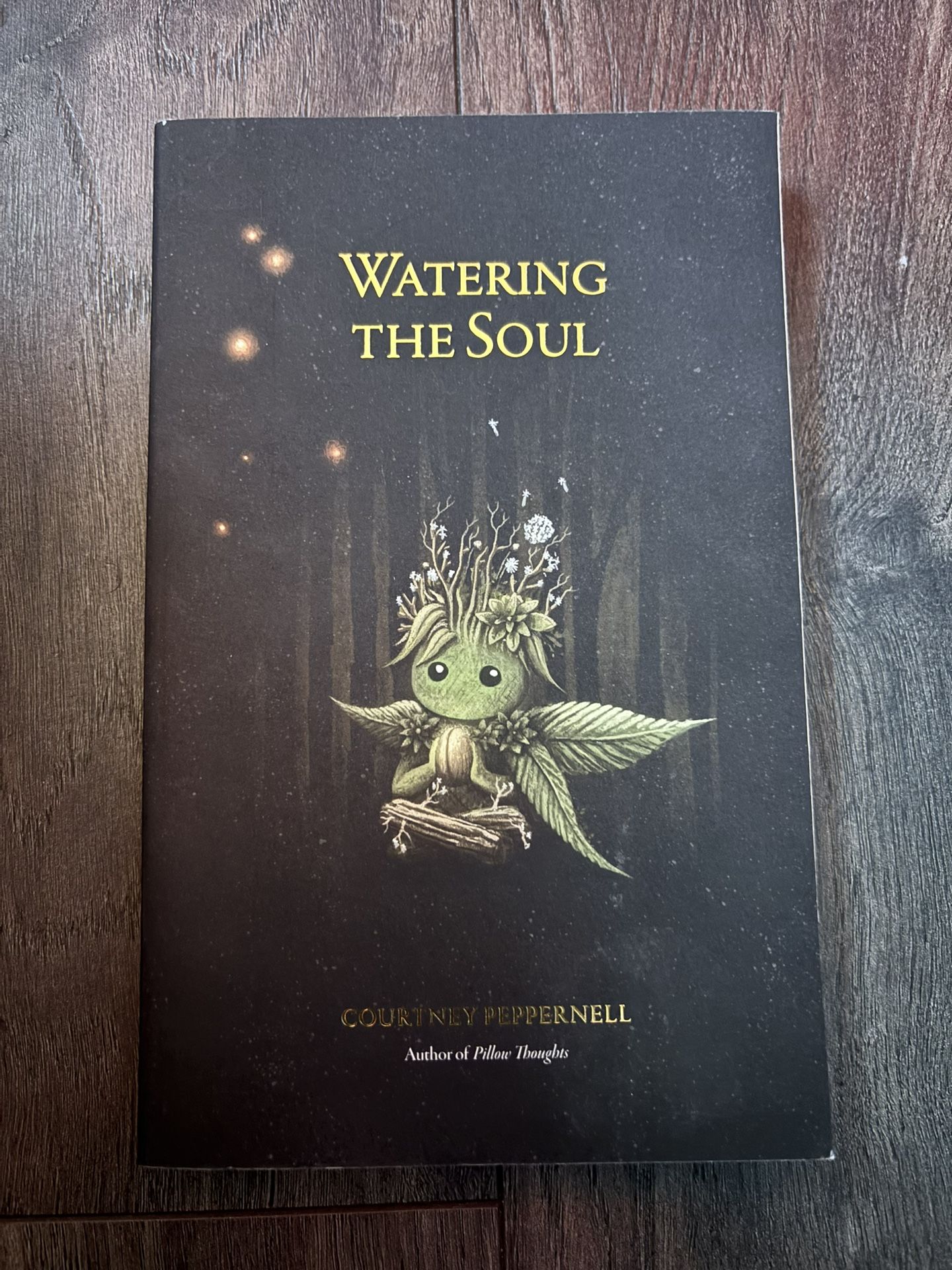 Watering The Soul By Courtney Peppernell