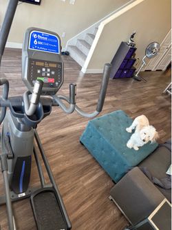 Horizon Elliptical Machine