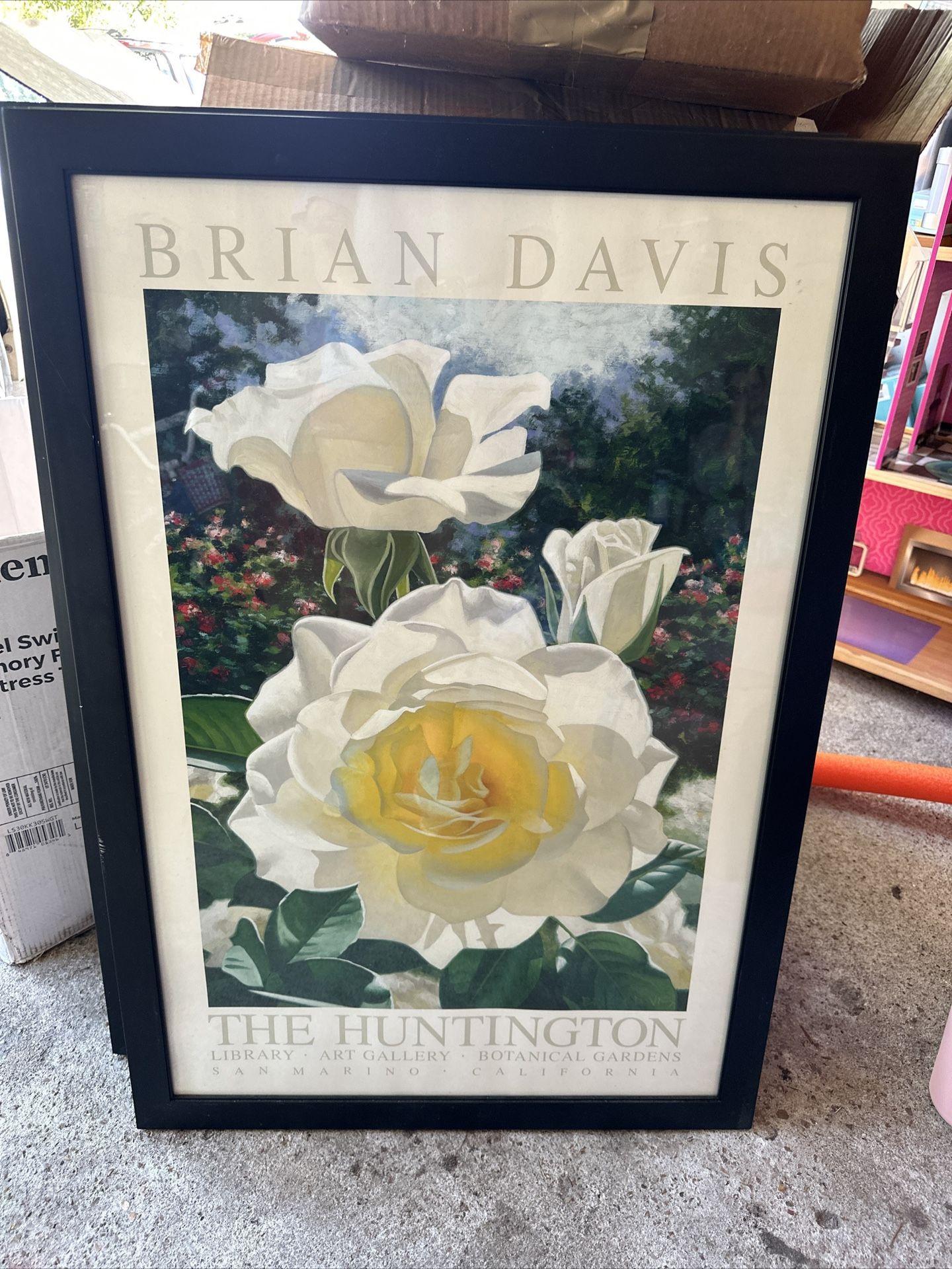 Brian Davis Prints