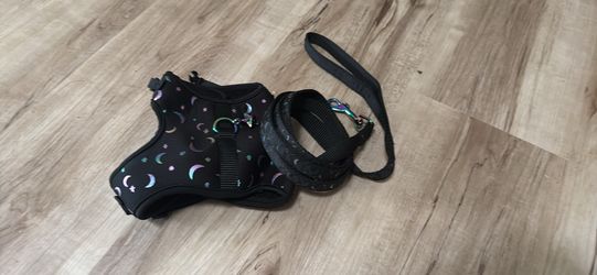 Cat harness and leash