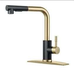 FORIOUS
Single-Handle Kitchen Sink Faucet with Pull Down Sprayer Kitchen Faucet in Black Gold