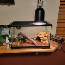 Name Stinky He Is A  Fat Tailed