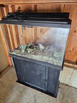 30 gallon fish tank with accessories
