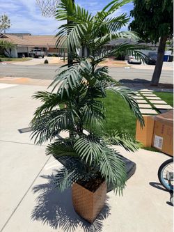 Fake Palm