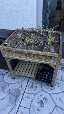 Free Bamboo Planter 