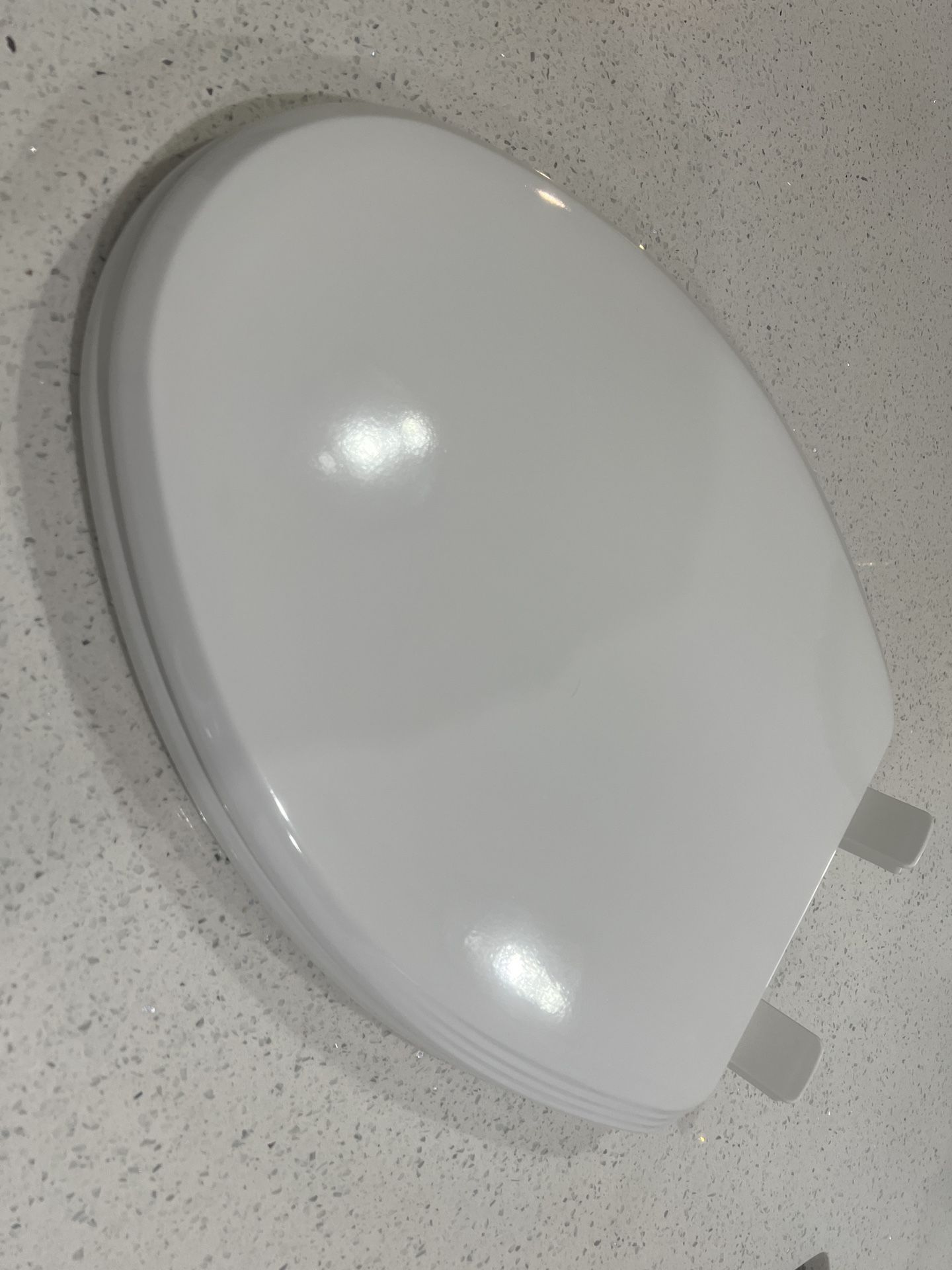 Toilet Seat READ DESCRIPTION