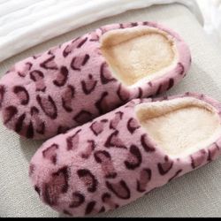 Slippers 