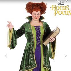 Halloween Costumes Hocus Pocus