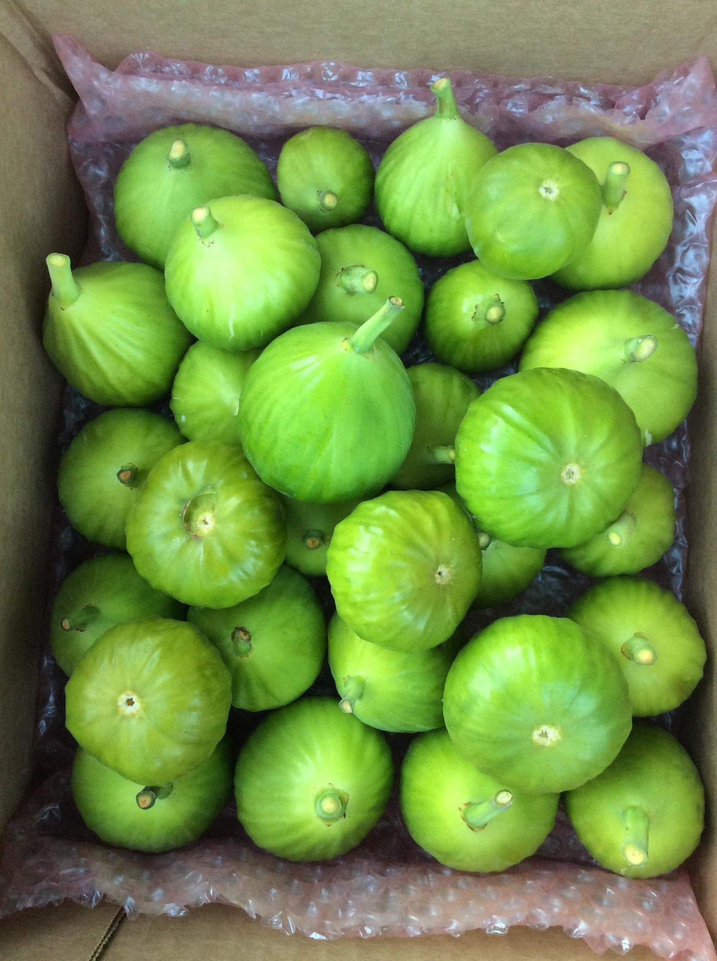 Ripe Fig Fruits