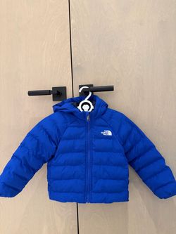 The Northface Jacket/puffer