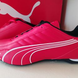 Ferrari Red Puma Sport Shoes 