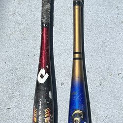 Two Aluminum Baseball Bats