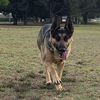 Omar