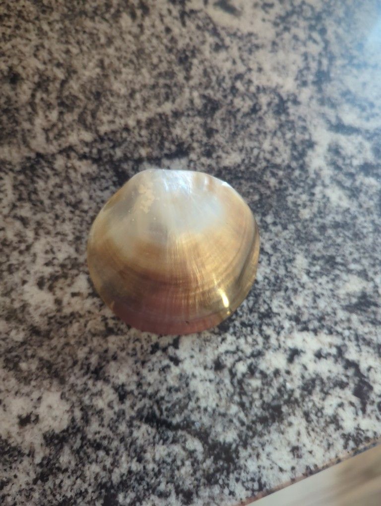 The Mother of Pearls