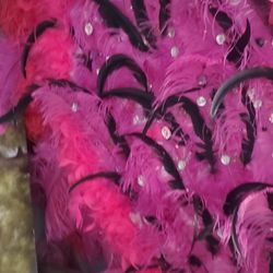 Bikini Competition Wings Huge Size Around 6ft