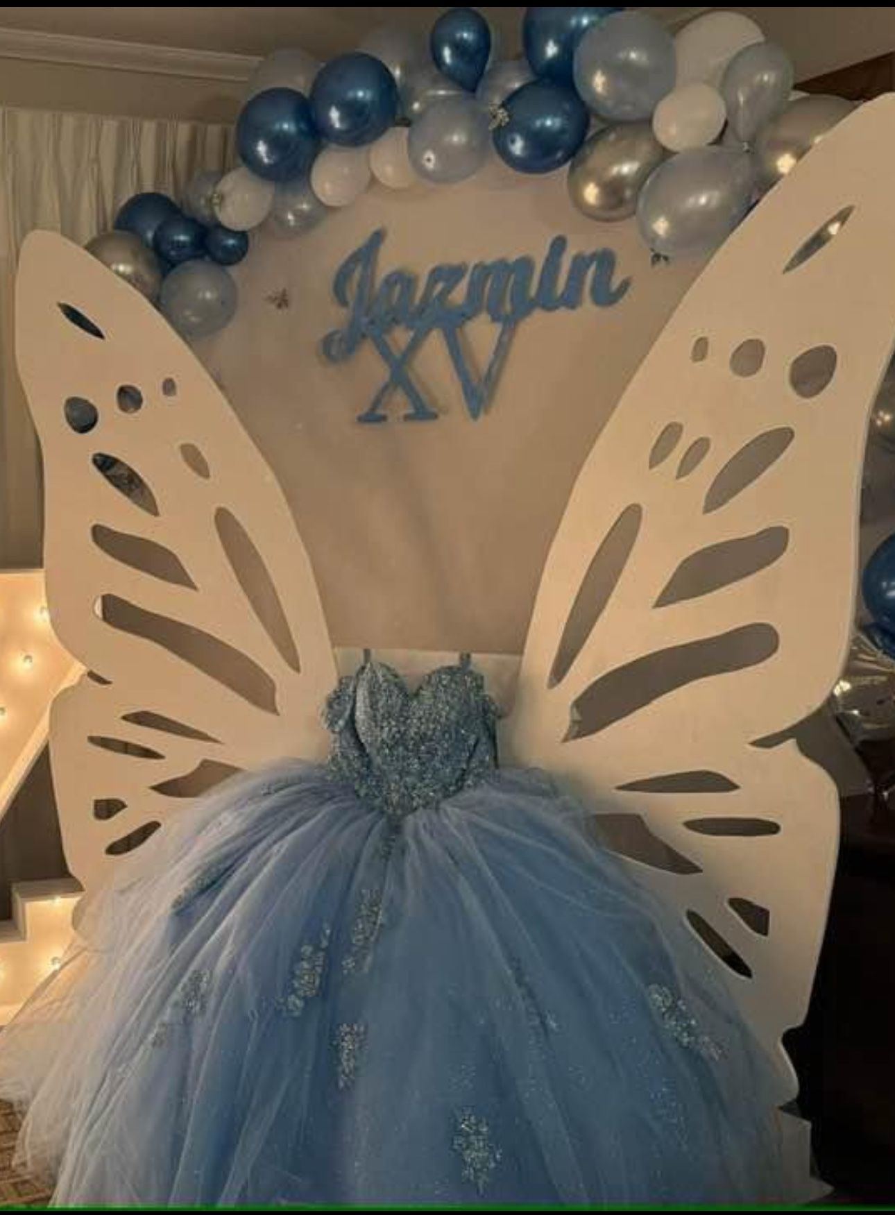 Butterfly Wing Backdrop