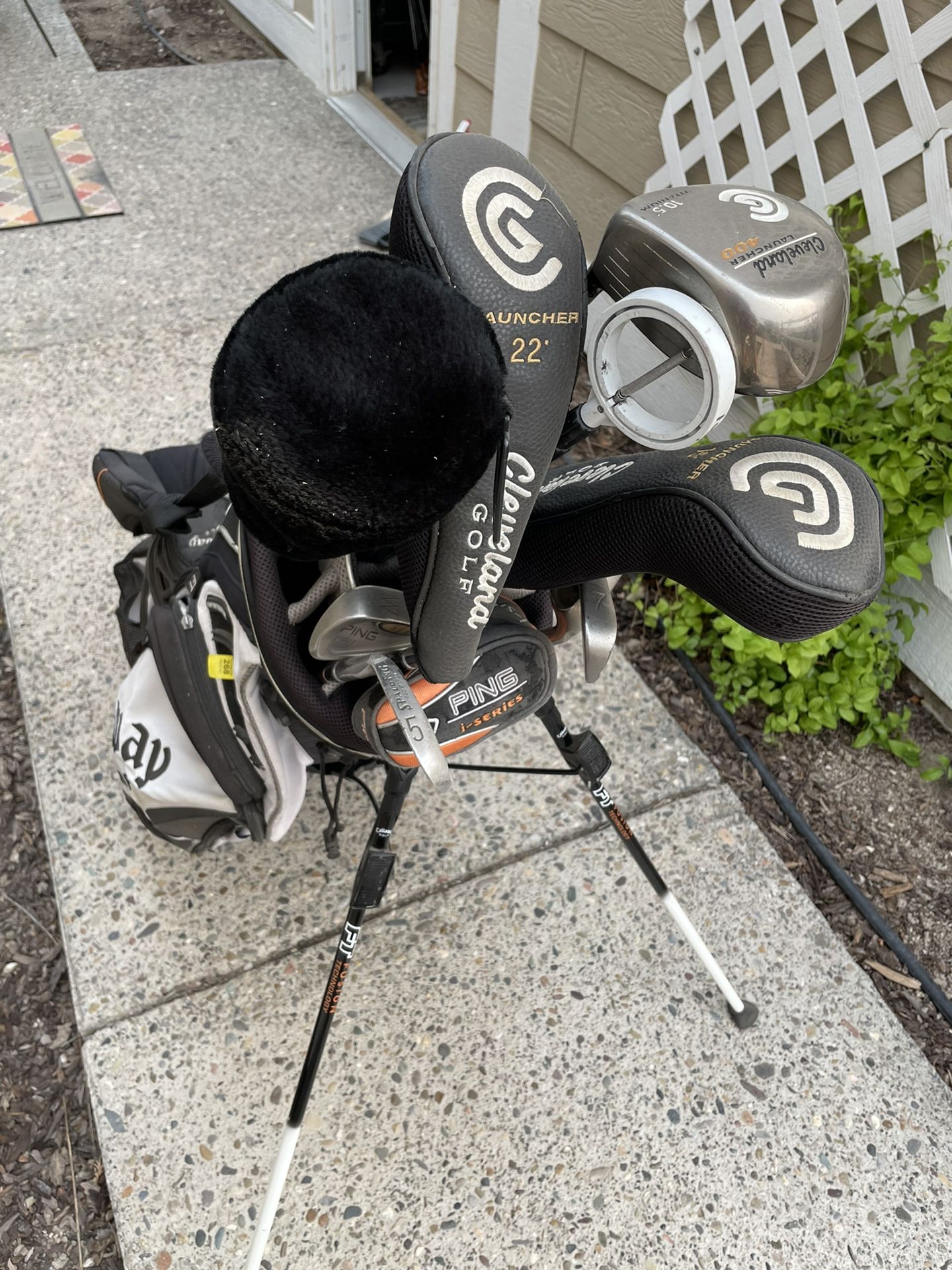 Golf Clubs, Bags, Bag Carrier