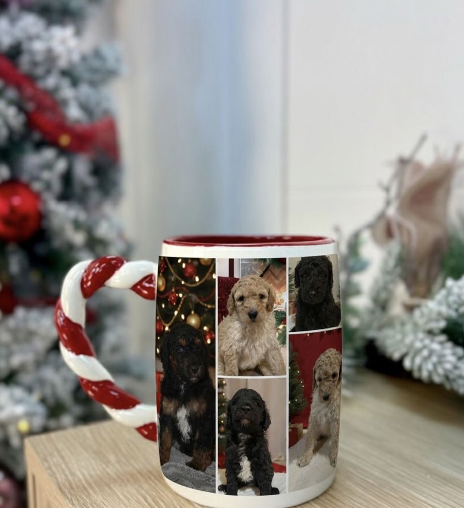 Free Puppies Cup