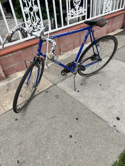 Schwinn 