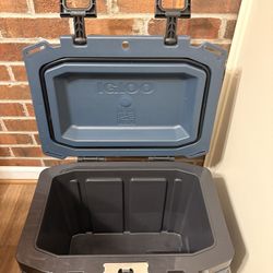 Igloo 25 QT cooler 