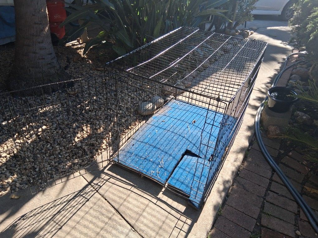 Extra Large Animal Kennel / Cage