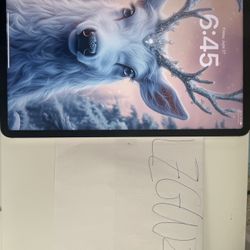 iPad Pro 12.9 6th Generation 