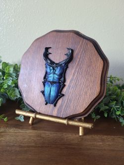 Faux Moulded Stag Beetle On Hanging Plaque