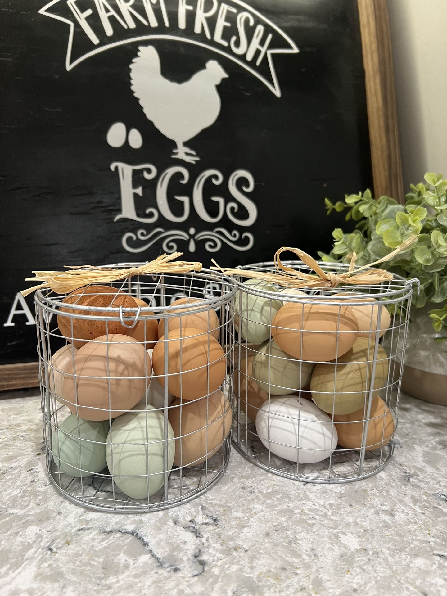 Farm Fresh Eggs 