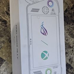 Rog Xbox Ally 