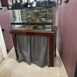 Exoterra Terrarium With Custom Stand And Lots Of Extras