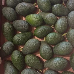 HASS AVOCADOS