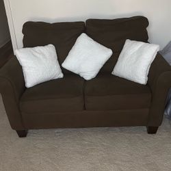 Loveseat/Sofa Sleeper