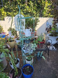 Saturday sale!!!! everything must go!!!!