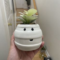 Faux mini succulent plant in pot