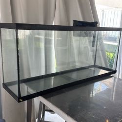 Fish Tank
