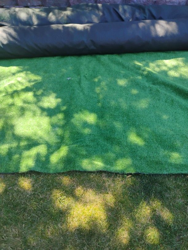 Indoor/Outdoor Carpet