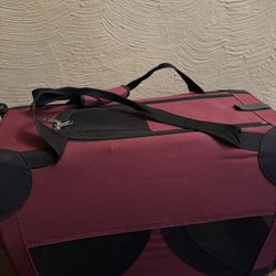 First trackx backyard carrier for heavy pet